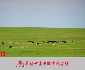 老驥伏櫪，志在千里 單騎穿越中蒙、中俄、中朝邊陲游記與攻略